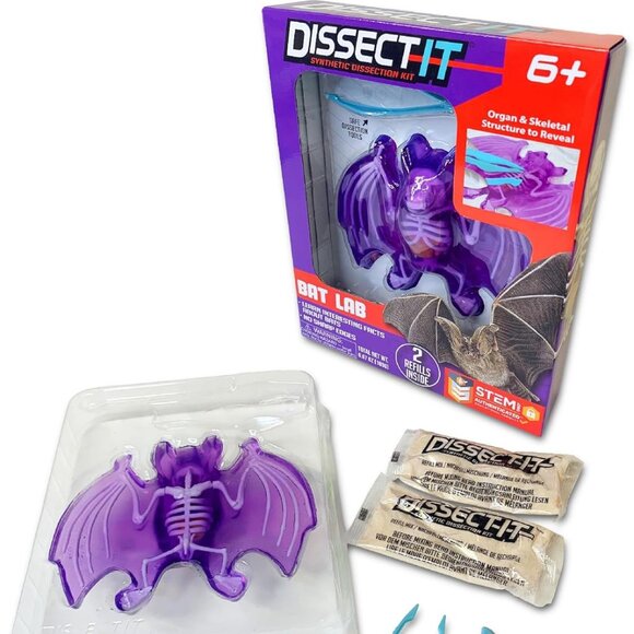NEW Dissect-it Synthetic Lab Dissection Toy STEM KIT CRAFT Project Bat Biology A - Picture 1 of 11